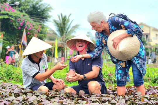 Quảng Nam: Nỗ lực cải thiện môi trường du lịch gắn với bảo tồn đa dạng sinh học