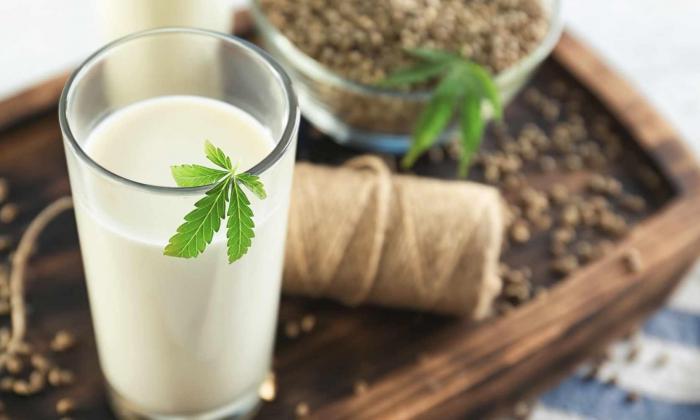 6 lựa chọn sữa tốt cho sức khỏe